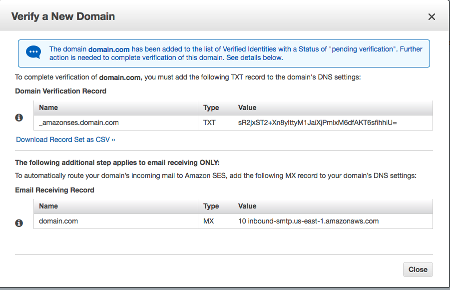 Add the DNS records from the Domain Verification Page